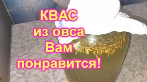 Как сделать КВАС из овса (25)/Освежающий квас без дрожжей