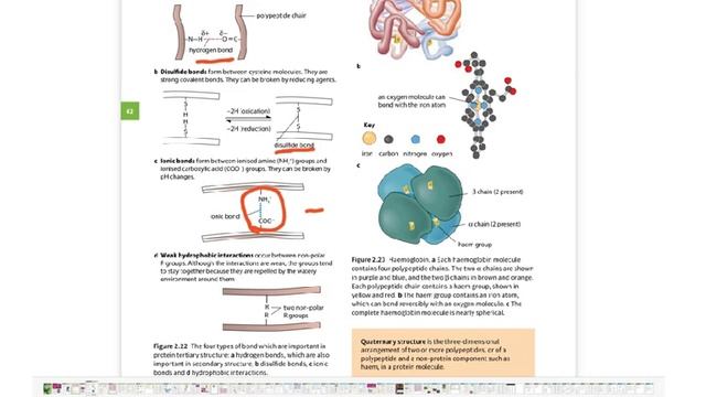 9700 A LEVEL BIOLOGY CHAPTER 2 BIOLOGICAL MOLECULES VIDEO ONE смотреть онлайн