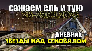 Сажаем ель Олендорфи и тую Даника | Дневник ЗНС | Апрель 2023