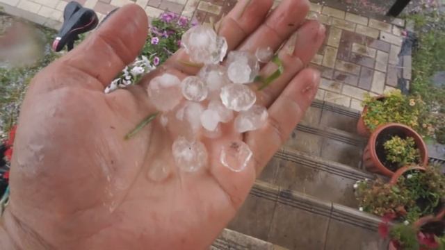 Град! Теплица! Пруд! Бассейн! смотреть онлайн