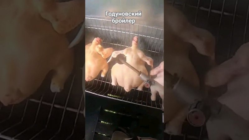 Мы ОПАЛИВАЕМ бройлера и другую птицу  после перосъемки ВСЕГДА