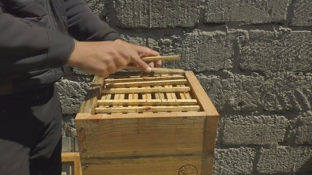 Дом для диких и домашних пчел смотреть онлайн