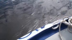 Подвесной лодочный мотор SAIL F9.9 S