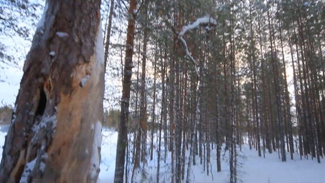 Рыбалка в Карелии, глухозимье. Середина января. смотреть онлайн