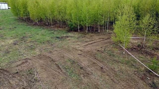 МИНИПОГРУЗЧИК Takeuchi TL8R2 с МУЛЬЧЕРОМ Serrat MF3. РАСЧИСТКА на МИНИТЕХНИКЕ. МУЛЬЧЕР или РОТОВАТО