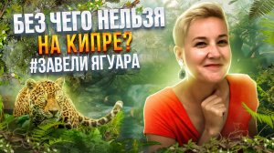 Без чего нельзя на Кипре ? | Кипр 2022 | Комфортная Жизнь на Кипре