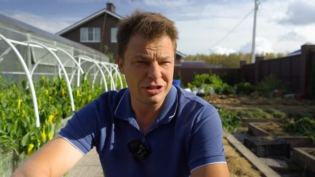 Не дайте отложить слизням свои яйца, простой безвредный способ защиты осенью смотреть онлайн