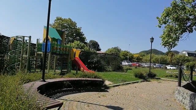 Знаменитое Дерево Сочи