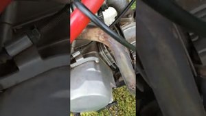 Питбайк. Звон клапанов или чего-то ещё?