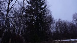 ВЕСЕННЯЯ ОХОТА. ПОХОД В ИЗБУ "БОРОВУЮ"