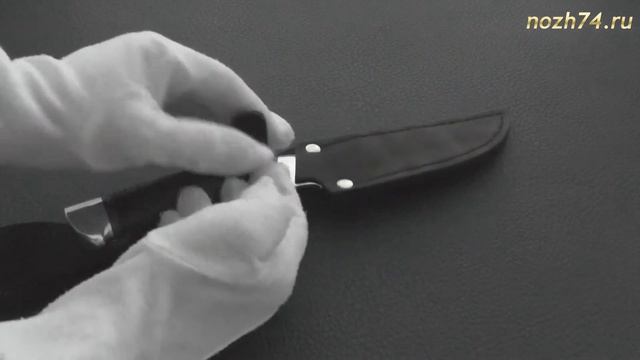 Нож Цезарь (Наборная кожа, ЭИ-107) - nozh74.ru смотреть онлайн