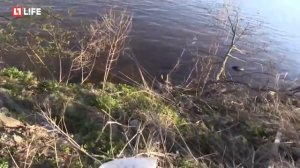 ЗАМИНИРОВАННЫЙ ТАПОК! ПОЛНОЕ ВИДЕО!  СМОТРЕТЬ ВСЕМ!!!