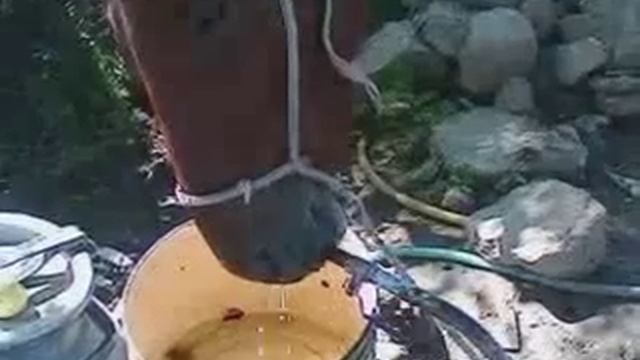 лошадь пьёт из колонки320x240de смотреть онлайн