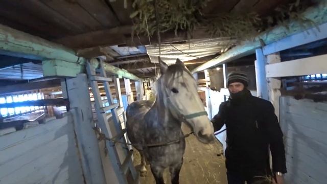 Конюшенный двор Барсуково, Великий Устюг смотреть онлайн