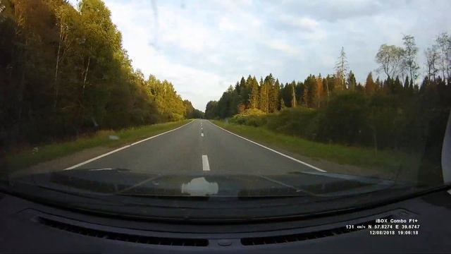 ЛИСА выбежала на дорогу