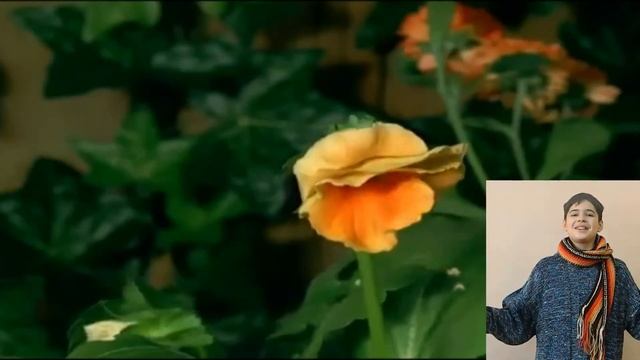 Mrs.J.I. McKinney. Why I Smile смотреть онлайн