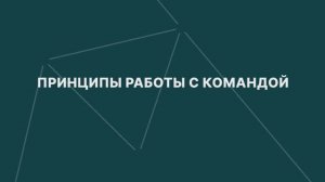 3.1 Бонус. Принципы работы с командой