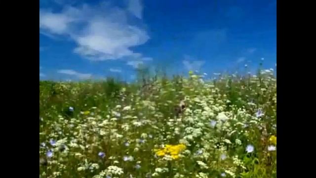 ЭХ, НАТАШКА !!! смотреть онлайн