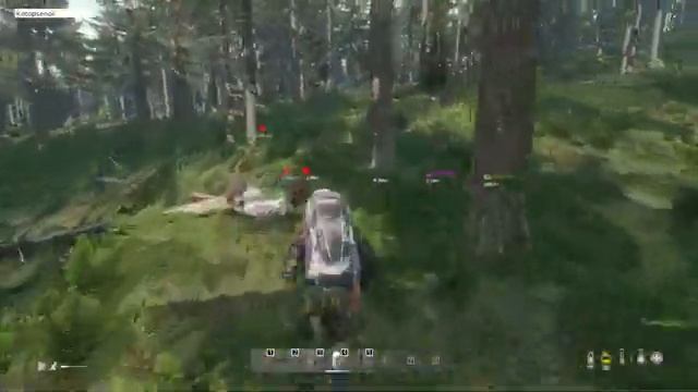 Выживание на Livonia в DAYZ \ DAYZ \ Выживаю на PODPIVAS LIVONIA LITE