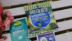 САМАЯ ВАЖНАЯ ОСЕННЯЯ ОБРАБОТКА! ВСЁ про ЖЕЛЕЗНЫЙ КУПОРОС и ЧЕМ ЕЩЁ обработать САД и ОГОРОД осенью