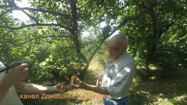 Прогулка по райскому саду Железова ВК//часть вторая
