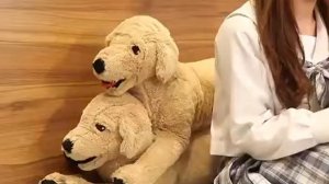 Моделирование лабрадор собака плюшевая игрушка креативные реалистичные животные куклы щенки мягкие