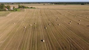 Поле с рулонами сена снятое с дрона