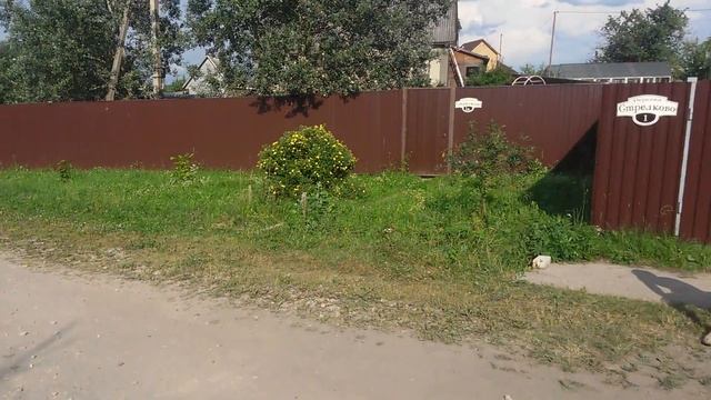 Стант на велосипеде с мотором смотреть онлайн