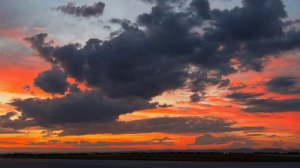 Umair Shamim Beautiful Quran _ Умайр Шамим Красивый Коран