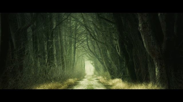 Fabbro - Harmony Desire | Ambient | Chillout| #fabbro #harmony #desire смотреть онлайн