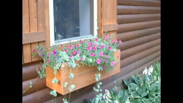 White Sport Coat смотреть онлайн