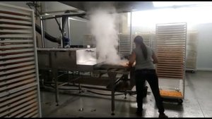 Бланширователь для паровой обработки перед сушкой и заморозкой нарезанных овощей и фруктов