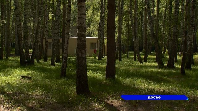 Лагерь солнечный фото городецкий район