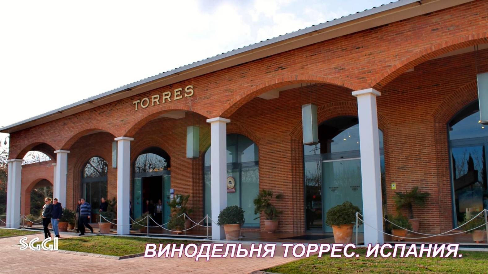 Испания.Винодельня Торрес.