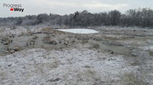 КАК ЛЕГКО ОЧИСТИТЬ УЛИЧНЫЙ ТУАЛЕТ И ИЗБАВИТЬСЯ ОТ ЗАПАХА