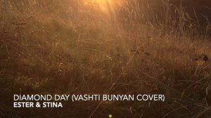 Diamond Day (Vashti Bunyan cover)