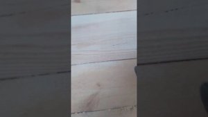 шлифовка брусового дома ушм - болгаркой?