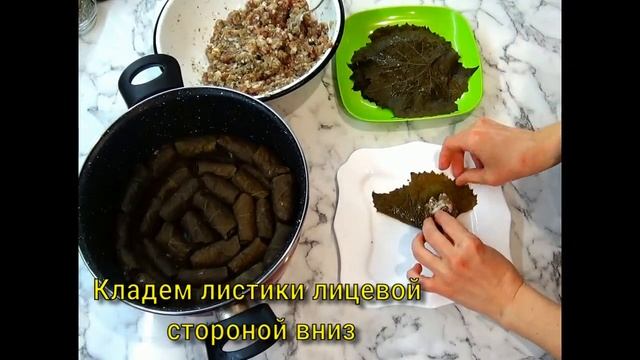 Свекровь научила! Долма по-армянски из виноградных листьев! Самая вкусная, которую я когда-либо ела