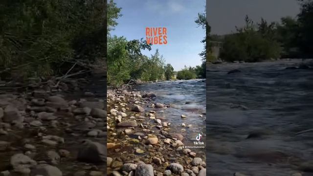 Rock creek park Yellowstone Park #river vibes