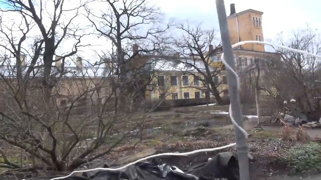 Магазин Ботанического сада, и грузинское кафе // Дети Алоэ смотреть онлайн