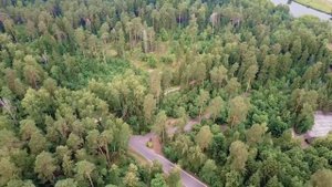 Пансионат «Лесные дали» Подмосковье