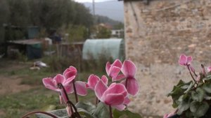 Panasonic HC X20 4k footage