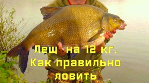 Лещ  на 12 кг. Как правильно ловить