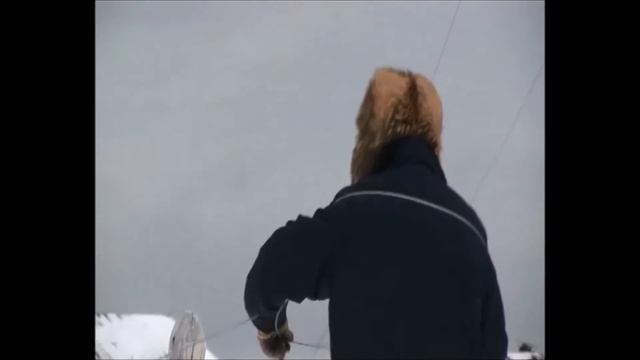 Остров Русский в арктическом архипелаге Норденшёльда смотреть онлайн