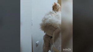 Сказка про принцессу единорожку и её друзей