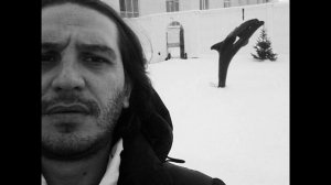 Гио Пика - чёрным дельфином