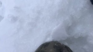 Щука рвёт тройник.зимняя рыбалка на щуку!жерлицы