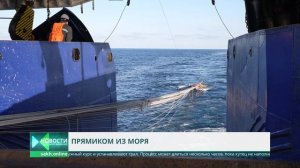 Супертраулер "Александр Косарев" вышел в море после модернизации