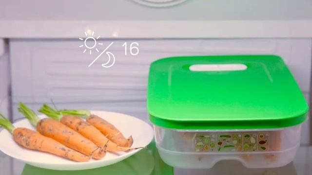 Контейнер Умный холодильник 1,8л низкий для овощей и фруктов Tupperware смотреть онлайн