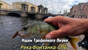 ИЩЕМ ТРОФЕЙ ОКУНЯ СУДАКА РЕКА ФОНТАНКА ЛОВИМ ОКУНЯ ОТВОДНЫМ МОРМЫШКАМИ ДЖИГОМ
